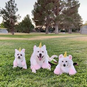 Pandaloon - Unicorn Dog Costume - size 4